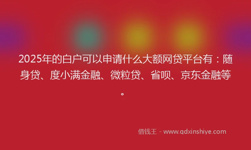 2025年的白户可以申请什么大额网贷平台有：随身贷、度小满金融、微粒贷、省呗、京东金融等。