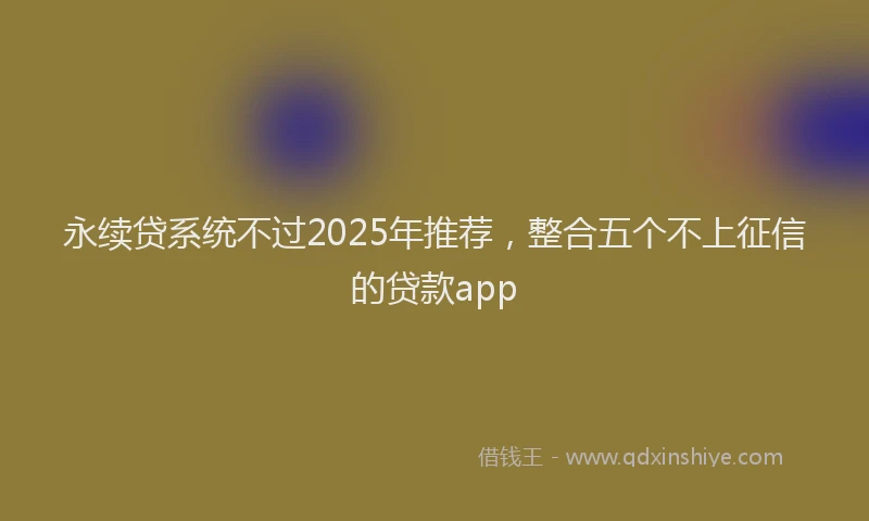 永续贷系统不过2025年推荐，整合五个不上征信的贷款app