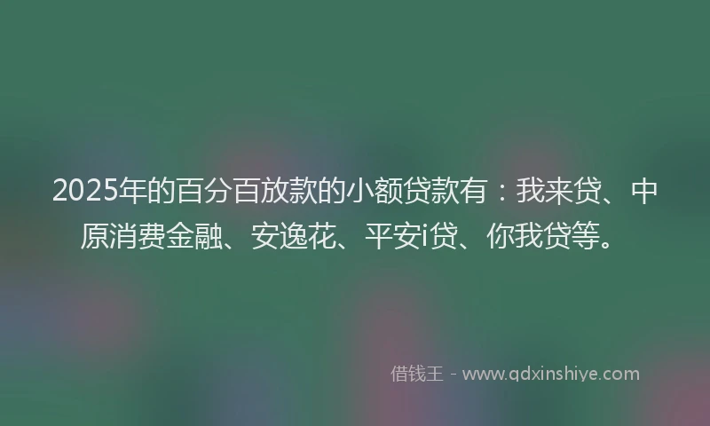 2025年的百分百放款的小额贷款有：我来贷、中原消费金融、安逸花、平安i贷、你我贷等。