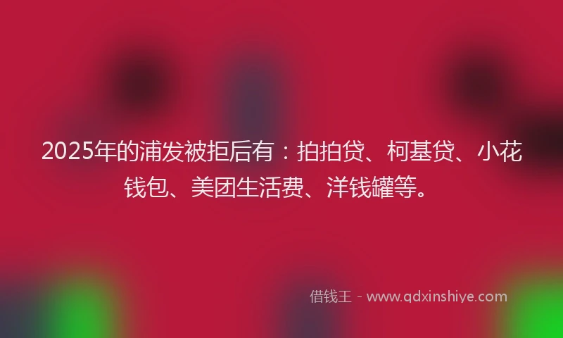 2025年的浦发被拒后有：拍拍贷、柯基贷、小花钱包、美团生活费、洋钱罐等。