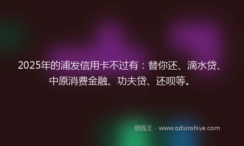 2025年的浦发信用卡不过有：替你还、滴水贷、中原消费金融、功夫贷、还呗等。