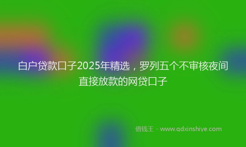 白户贷款口子2025年精选，罗列五个不审核夜间直接放款的网贷口子