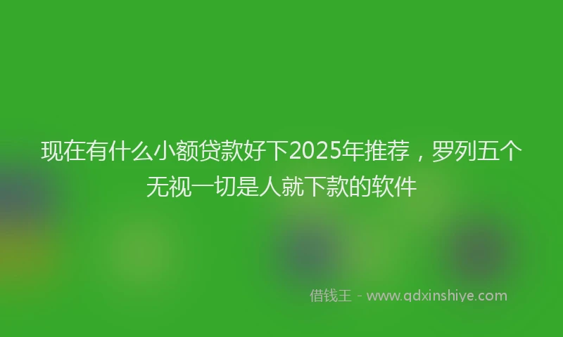 现在有什么小额贷款好下2025年推荐，罗列五个无视一切是人就下款的软件