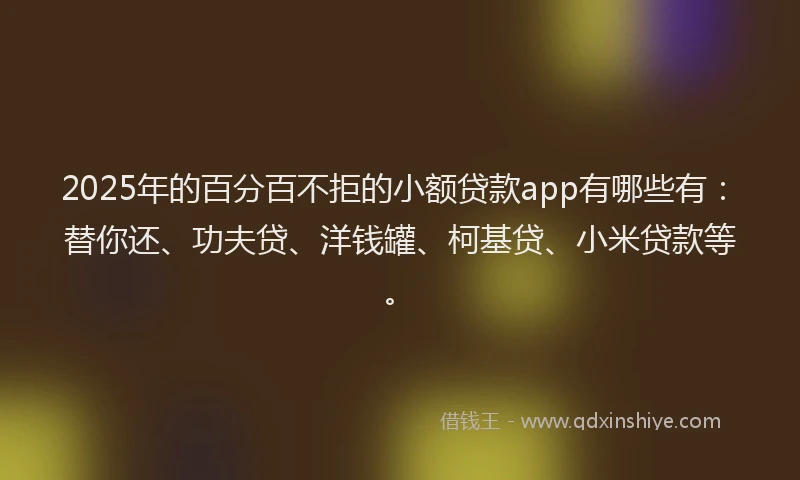 2025年的百分百不拒的小额贷款app有哪些有：替你还、功夫贷、洋钱罐、柯基贷、小米贷款等。
