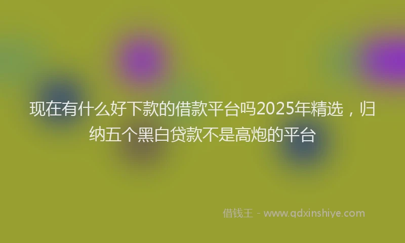 现在有什么好下款的借款平台吗2025年精选，归纳五个黑白贷款不是高炮的平台