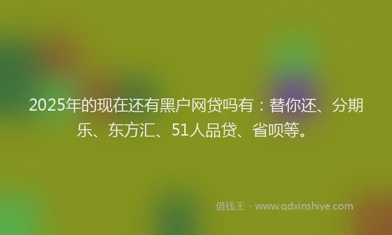 2025年的现在还有黑户网贷吗有：替你还、分期乐、东方汇、51人品贷、省呗等。