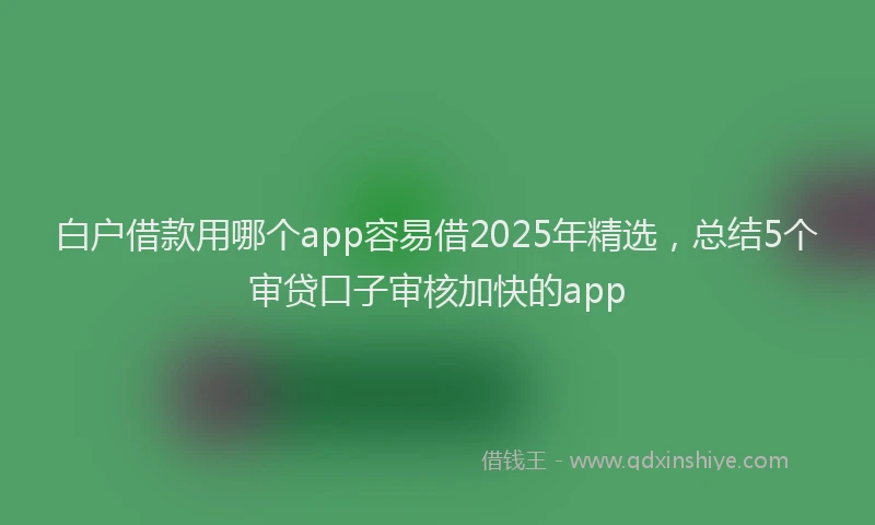 白户借款用哪个app容易借2025年精选，总结5个审贷口子审核加快的app