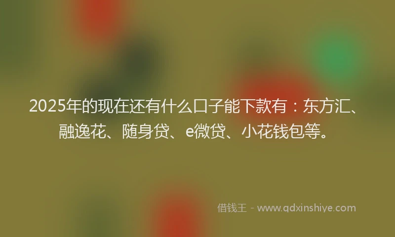 2025年的现在还有什么口子能下款有：东方汇、融逸花、随身贷、e微贷、小花钱包等。