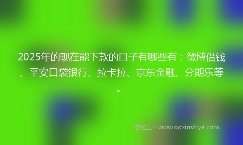 2025年的现在能下款的口子有哪些有：微博借钱、平安口袋银行、拉卡拉、京东金融、分期乐等。