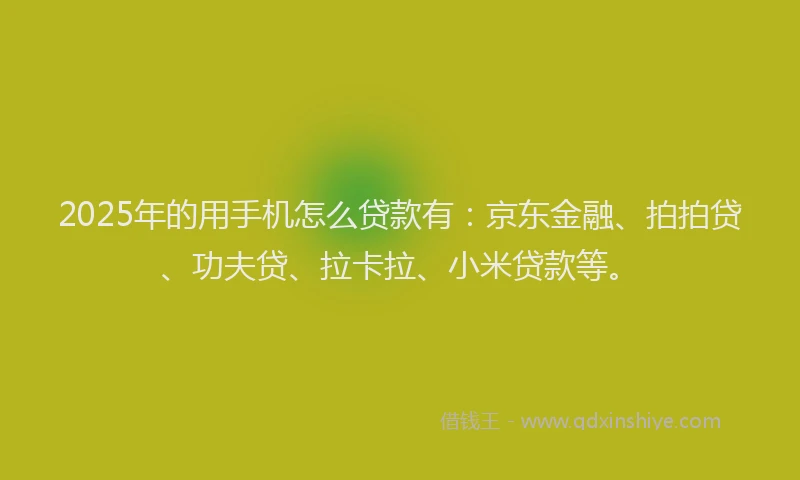 2025年的用手机怎么贷款有：京东金融、拍拍贷、功夫贷、拉卡拉、小米贷款等。
