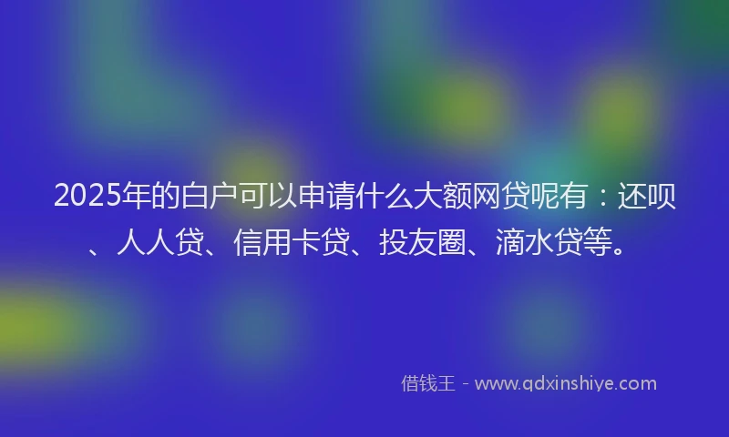 2025年的白户可以申请什么大额网贷呢有：还呗、人人贷、信用卡贷、投友圈、滴水贷等。