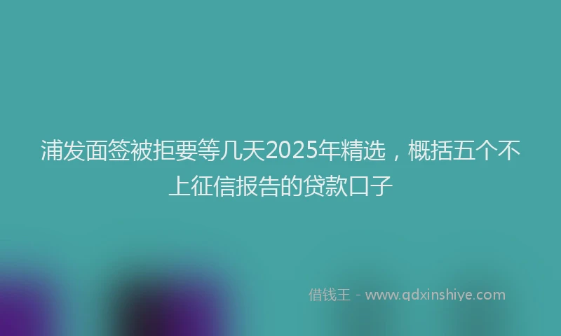浦发面签被拒要等几天2025年精选，概括五个不上征信报告的贷款口子