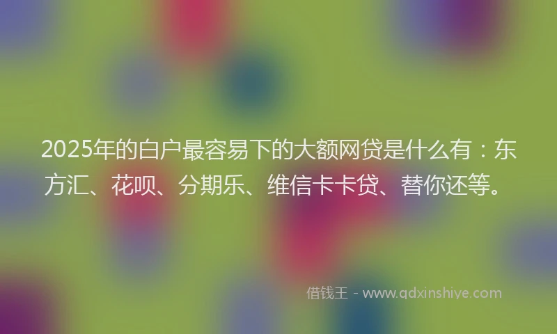 2025年的白户最容易下的大额网贷是什么有：东方汇、花呗、分期乐、维信卡卡贷、替你还等。