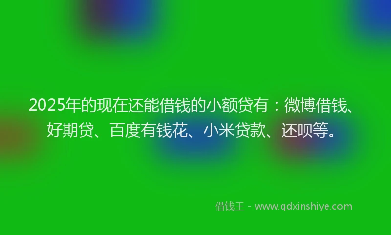 2025年的现在还能借钱的小额贷有：微博借钱、好期贷、百度有钱花、小米贷款、还呗等。