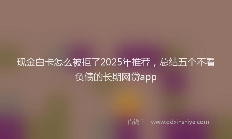 现金白卡怎么被拒了2025年推荐，总结五个不看负债的长期网贷app