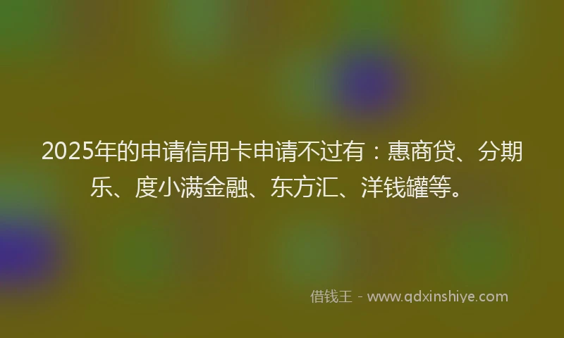 2025年的申请信用卡申请不过有：惠商贷、分期乐、度小满金融、东方汇、洋钱罐等。
