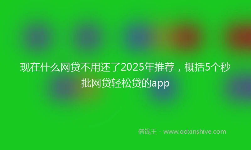 现在什么网贷不用还了2025年推荐，概括5个秒批网贷轻松贷的app