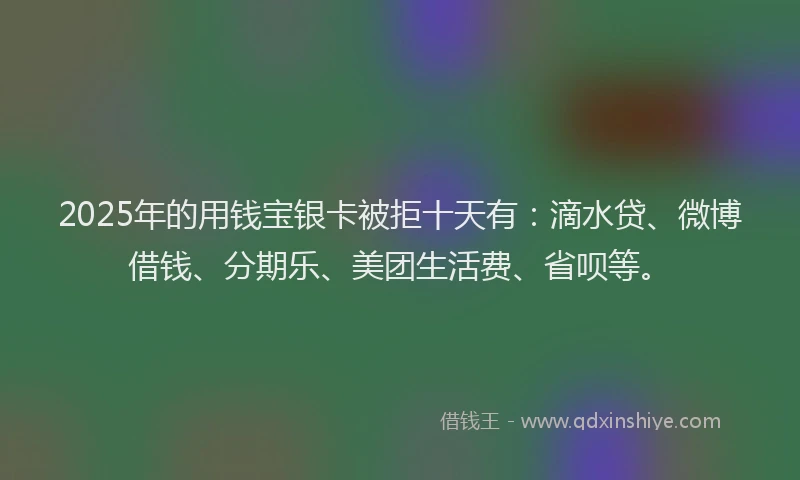 2025年的用钱宝银卡被拒十天有：滴水贷、微博借钱、分期乐、美团生活费、省呗等。