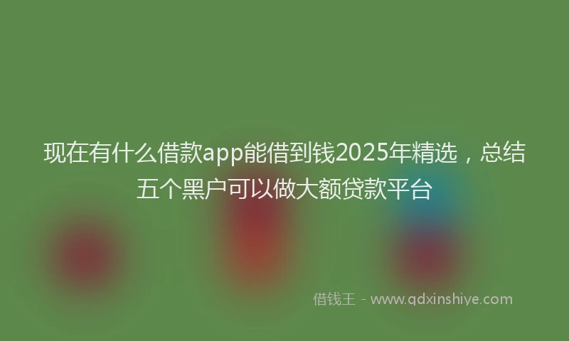 现在有什么借款app能借到钱2025年精选，总结五个黑户可以做大额贷款平台