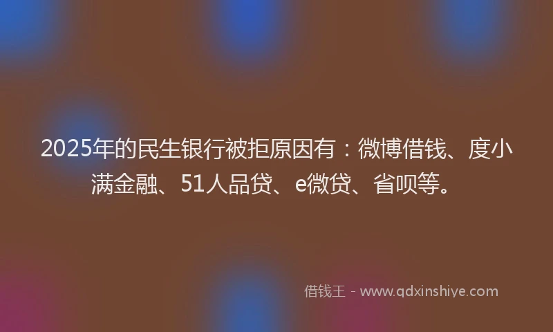 2025年的民生银行被拒原因有：微博借钱、度小满金融、51人品贷、e微贷、省呗等。