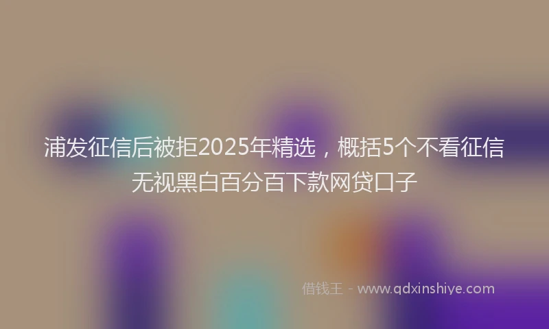 浦发征信后被拒2025年精选，概括5个不看征信无视黑白百分百下款网贷口子
