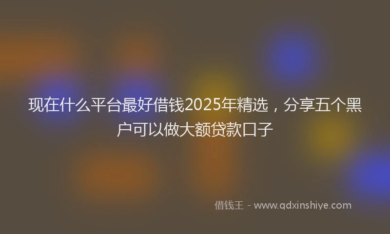 现在什么平台最好借钱2025年精选，分享五个黑户可以做大额贷款口子