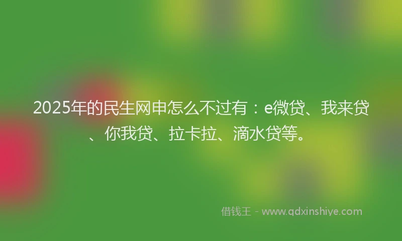 2025年的民生网申怎么不过有：e微贷、我来贷、你我贷、拉卡拉、滴水贷等。