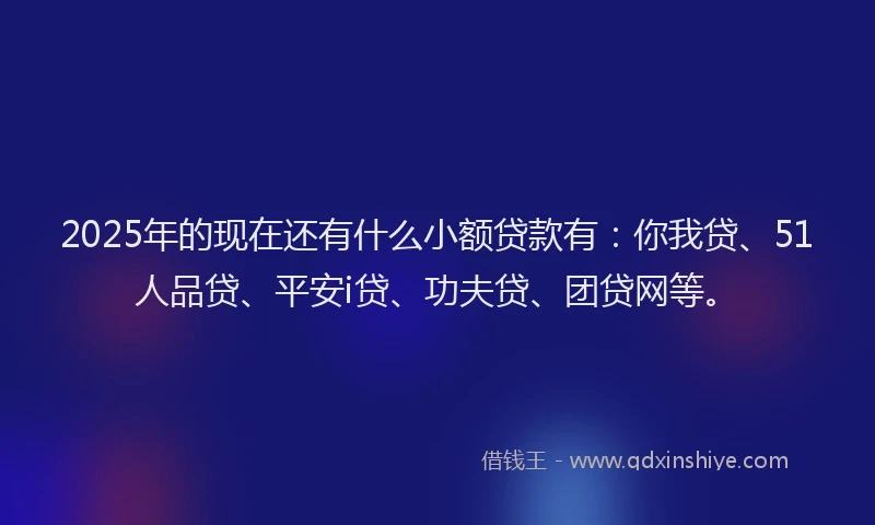 2025年的现在还有什么小额贷款有：你我贷、51人品贷、平安i贷、功夫贷、团贷网等。
