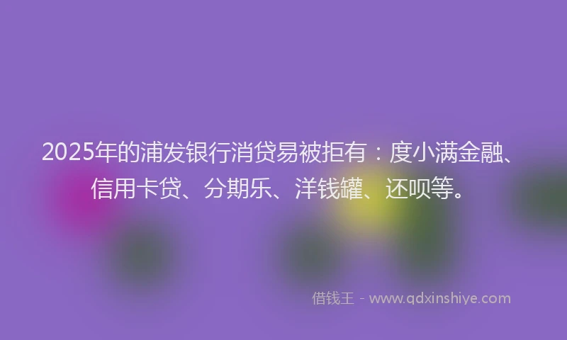 2025年的浦发银行消贷易被拒有：度小满金融、信用卡贷、分期乐、洋钱罐、还呗等。