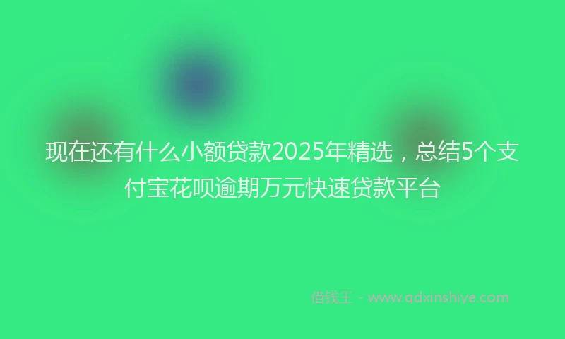 现在还有什么小额贷款2025年精选，总结5个支付宝花呗逾期万元快速贷款平台