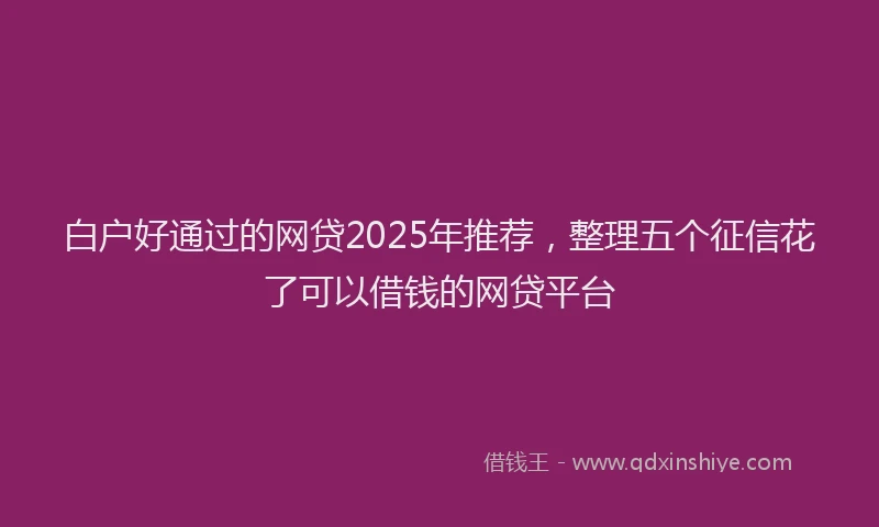 白户好通过的网贷2025年推荐，整理五个征信花了可以借钱的网贷平台