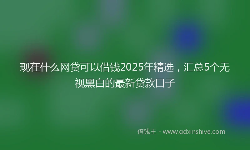 现在什么网贷可以借钱2025年精选，汇总5个无视黑白的最新贷款口子
