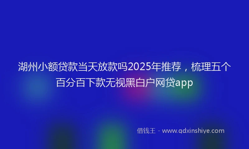 湖州小额贷款当天放款吗2025年推荐，梳理五个百分百下款无视黑白户网贷app