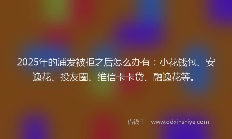 2025年的浦发被拒之后怎么办有：小花钱包、安逸花、投友圈、维信卡卡贷、融逸花等。