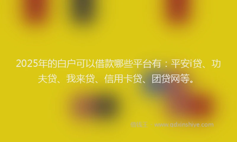2025年的白户可以借款哪些平台有：平安i贷、功夫贷、我来贷、信用卡贷、团贷网等。