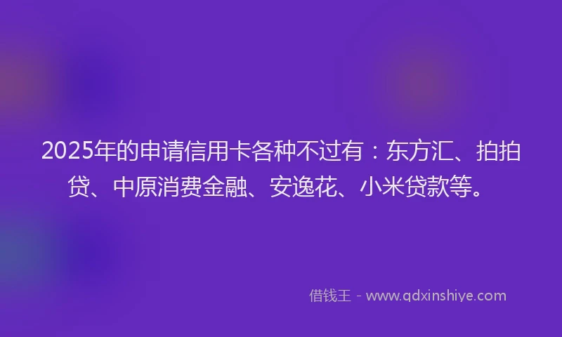 2025年的申请信用卡各种不过有：东方汇、拍拍贷、中原消费金融、安逸花、小米贷款等。