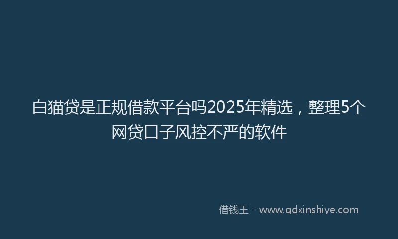 白猫贷是正规借款平台吗2025年精选，整理5个网贷口子风控不严的软件