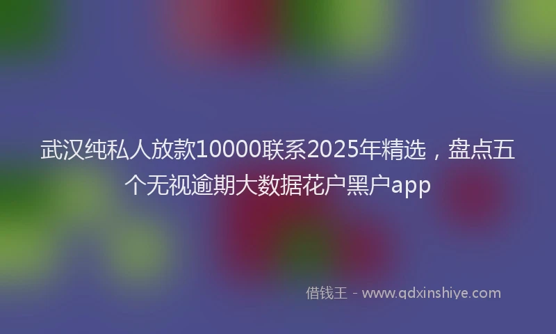 武汉纯私人放款10000联系2025年精选，盘点五个无视逾期大数据花户黑户app
