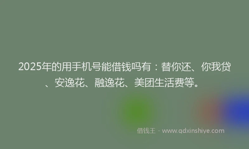 2025年的用手机号能借钱吗有：替你还、你我贷、安逸花、融逸花、美团生活费等。