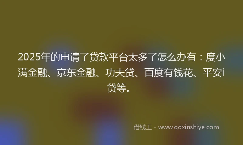 2025年的申请了贷款平台太多了怎么办有：度小满金融、京东金融、功夫贷、百度有钱花、平安i贷等。