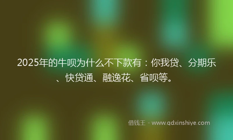 2025年的牛呗为什么不下款有：你我贷、分期乐、快贷通、融逸花、省呗等。