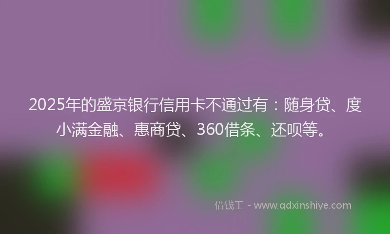 2025年的盛京银行信用卡不通过有：随身贷、度小满金融、惠商贷、360借条、还呗等。