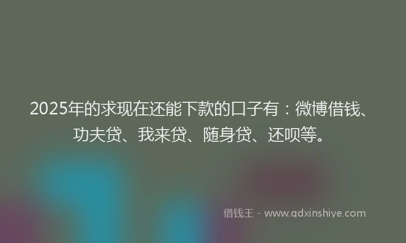 2025年的求现在还能下款的口子有：微博借钱、功夫贷、我来贷、随身贷、还呗等。