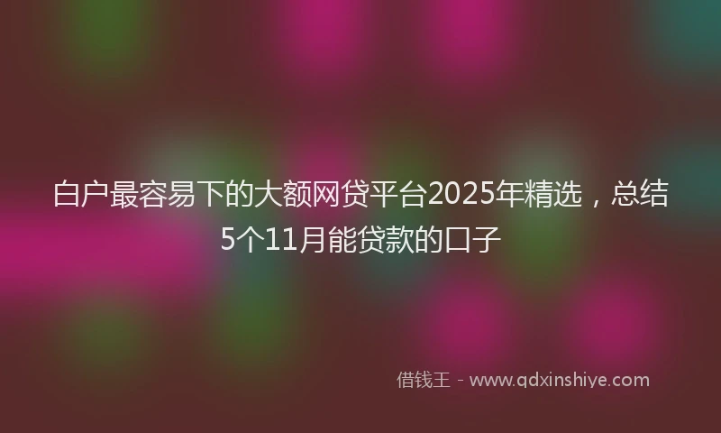 白户最容易下的大额网贷平台2025年精选，总结5个11月能贷款的口子