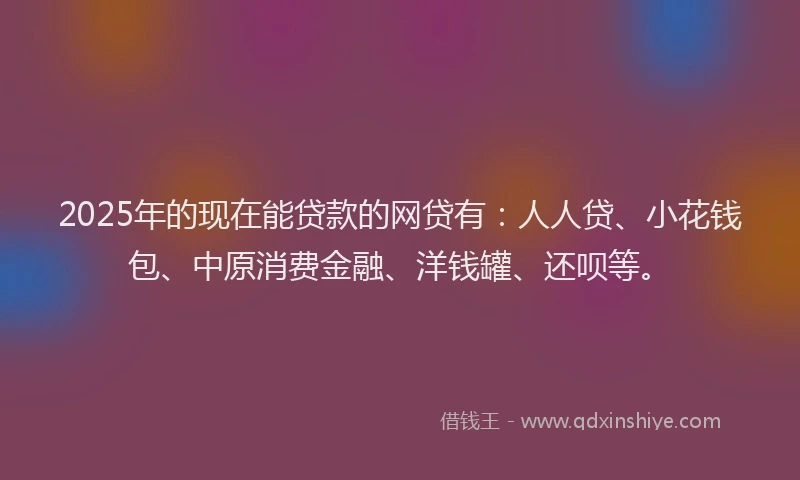 2025年的现在能贷款的网贷有：人人贷、小花钱包、中原消费金融、洋钱罐、还呗等。