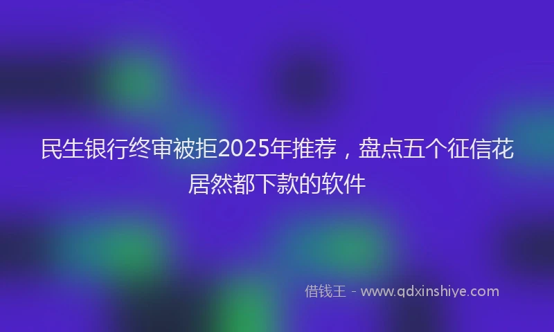 民生银行终审被拒2025年推荐，盘点五个征信花居然都下款的软件