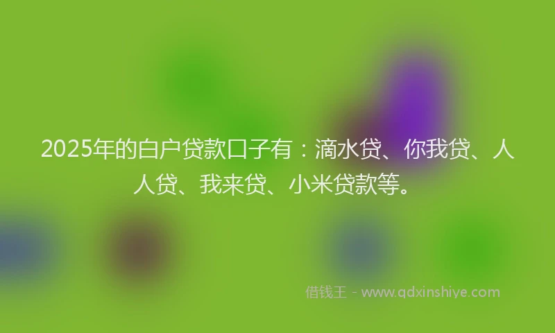 2025年的白户贷款口子有：滴水贷、你我贷、人人贷、我来贷、小米贷款等。