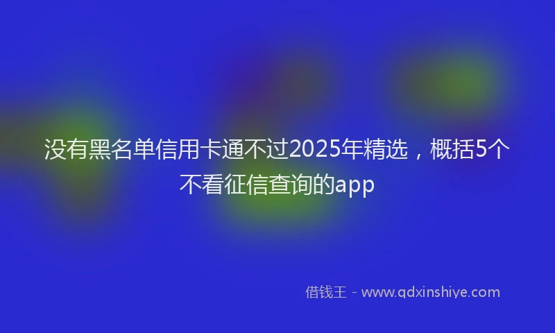 没有黑名单信用卡通不过2025年精选，概括5个不看征信查询的app