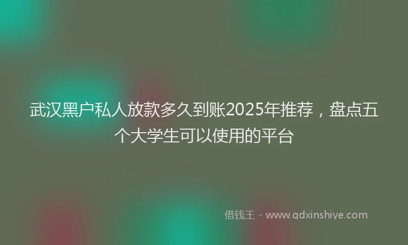 武汉黑户私人放款多久到账2025年推荐，盘点五个大学生可以使用的平台