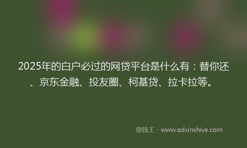 2025年的白户必过的网贷平台是什么有：替你还、京东金融、投友圈、柯基贷、拉卡拉等。